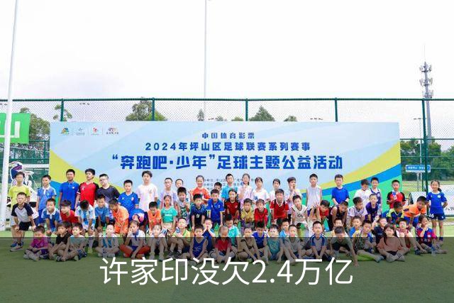 许家印没欠2.4万亿