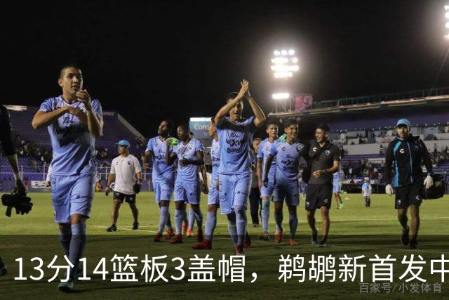 13分14篮板3盖帽，鹈鹕新首发中锋首秀交出两双